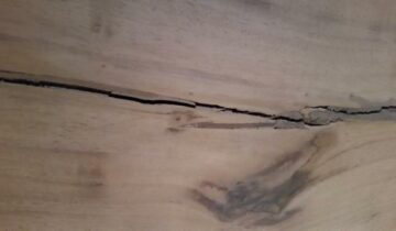 Quelle est la meilleure façon de sceller les fissures dans le bois ?