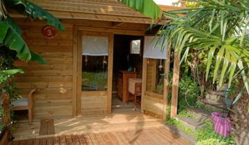 Que faire en cas d’invasion d’insectes dans son abri de jardin ?